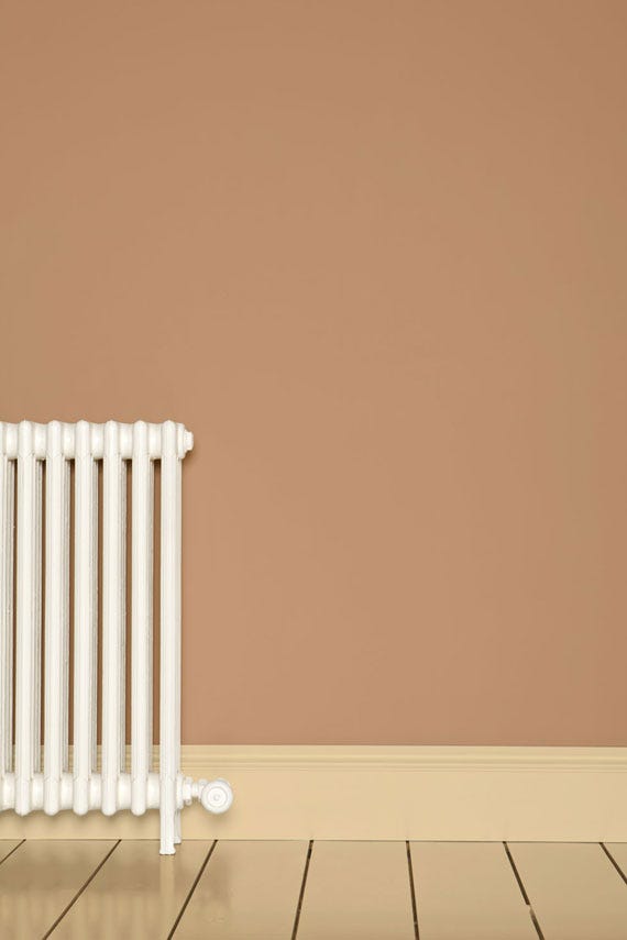 Ointment Pink No.21 by Farrow & Ball on a painted wall in a room setting