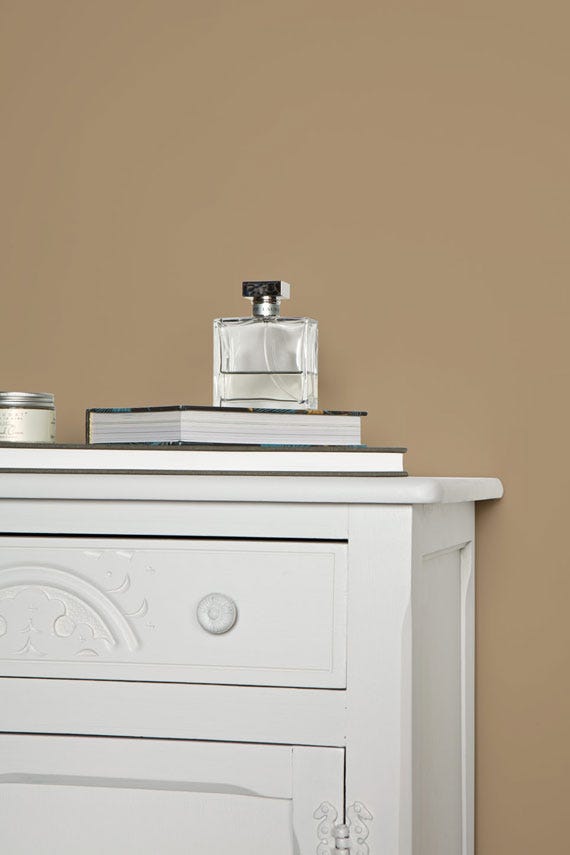 Dauphin No.54 by Farrow & Ball on a painted wall in a room setting
