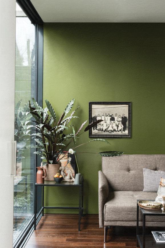 Bancha No.298 by Farrow & Ball on a painted wall in a room setting