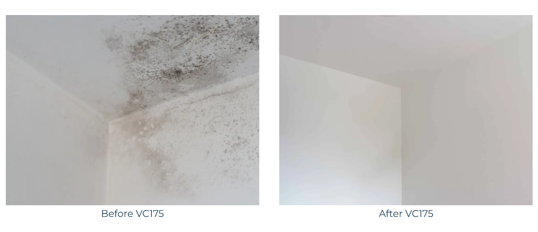 Owatrol VC175 Powerful and Long Lasting Mould Killer - 50 ml