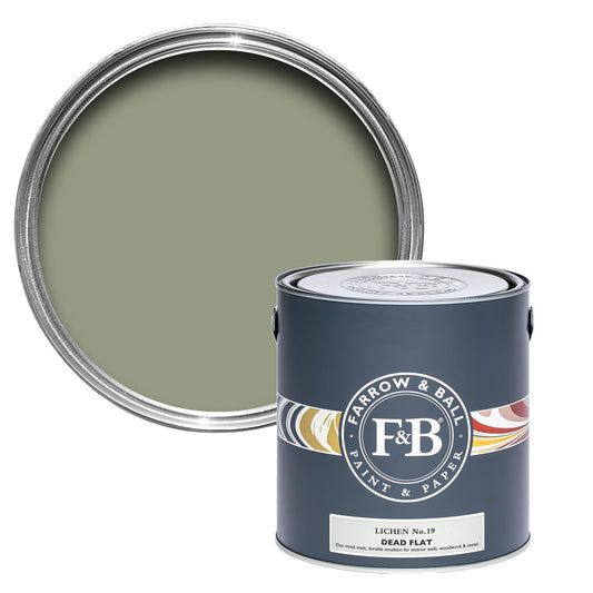 Farrow & Ball Multi Surface 5L Dead Flat Lichen No.19