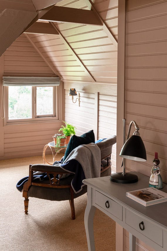 5L Estate Emulsion Dead Salmon No.28