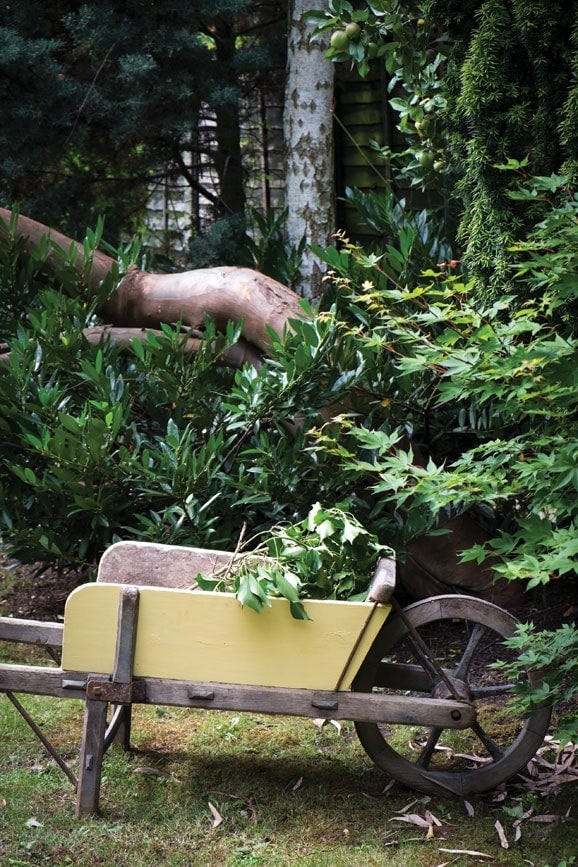 5L Estate Emulsion Dayroom Yellow No.233