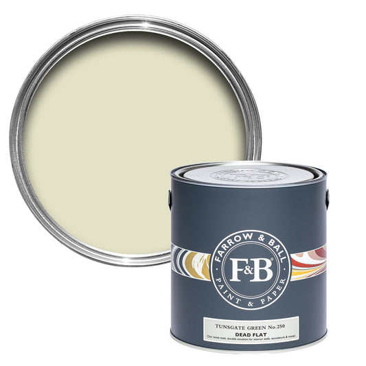 Farrow & Ball Multi Surface 5L Dead Flat Tunsgate Green No.250