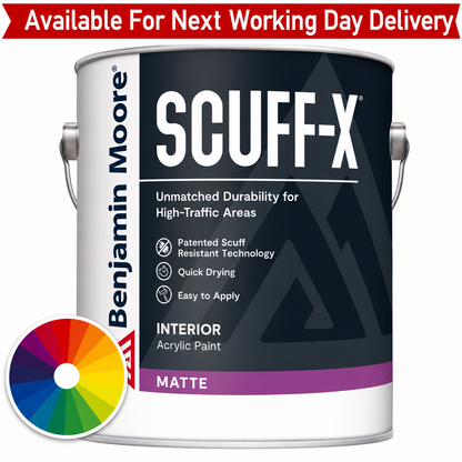 Benjamin Moore SCUFF-X Matte