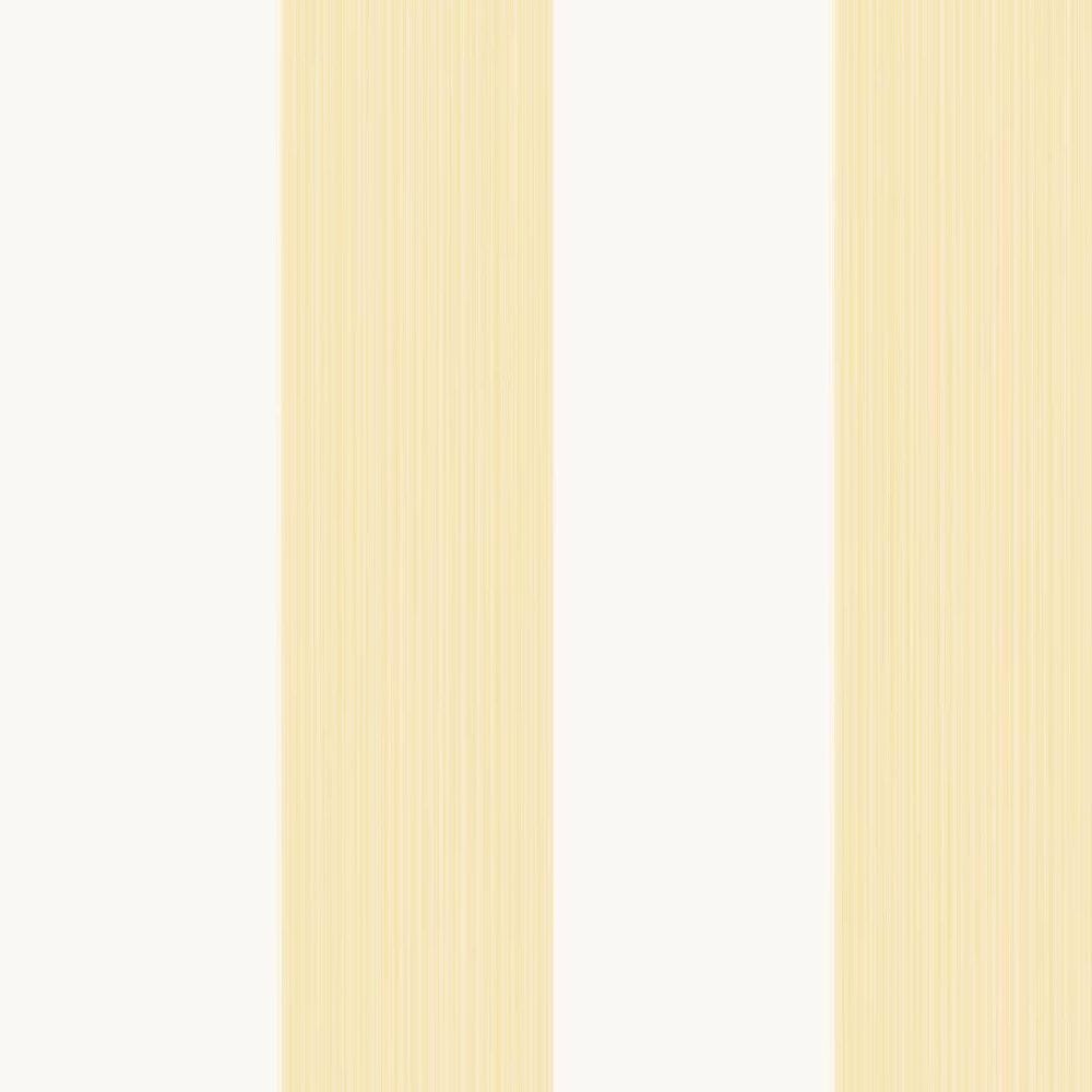 Farrow & Ball Broad Stripe wallpaper 1319 swatch