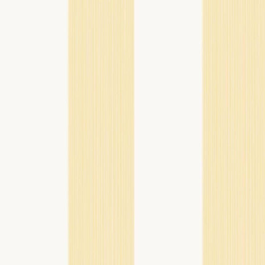 Farrow & Ball Broad Stripe wallpaper 1319 swatch