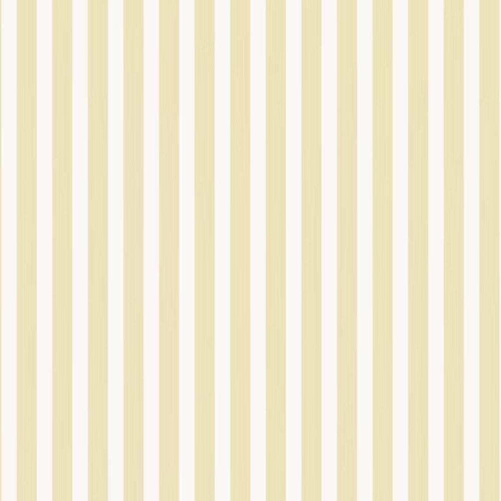 Farrow & Ball Closet Stripe wallpaper 356 swatch