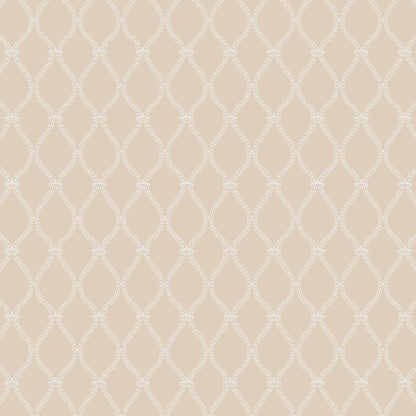 Farrow & Ball Crivelli Trellis wallpaper 3104 swatch