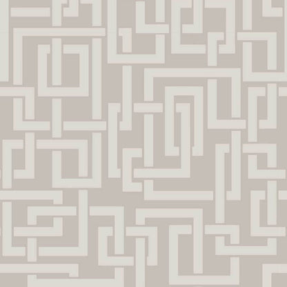 Farrow & Ball Enigma wallpaper 5501 swatch