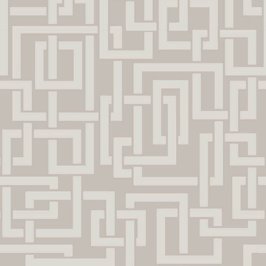 Farrow & Ball Enigma wallpaper 5501 swatch