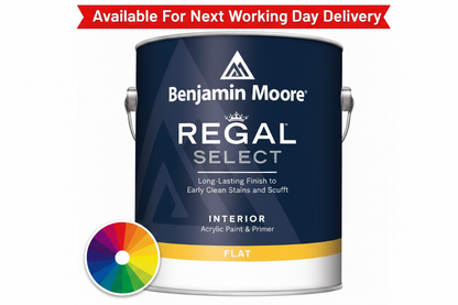 Benjamin Moore Regal Select Interior Flat tin - tinted to Chantilly Lace OC-65