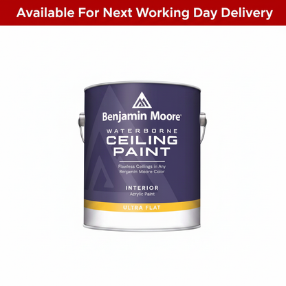Benjamin Moore Ceiling Paint Ultra Flat Super White