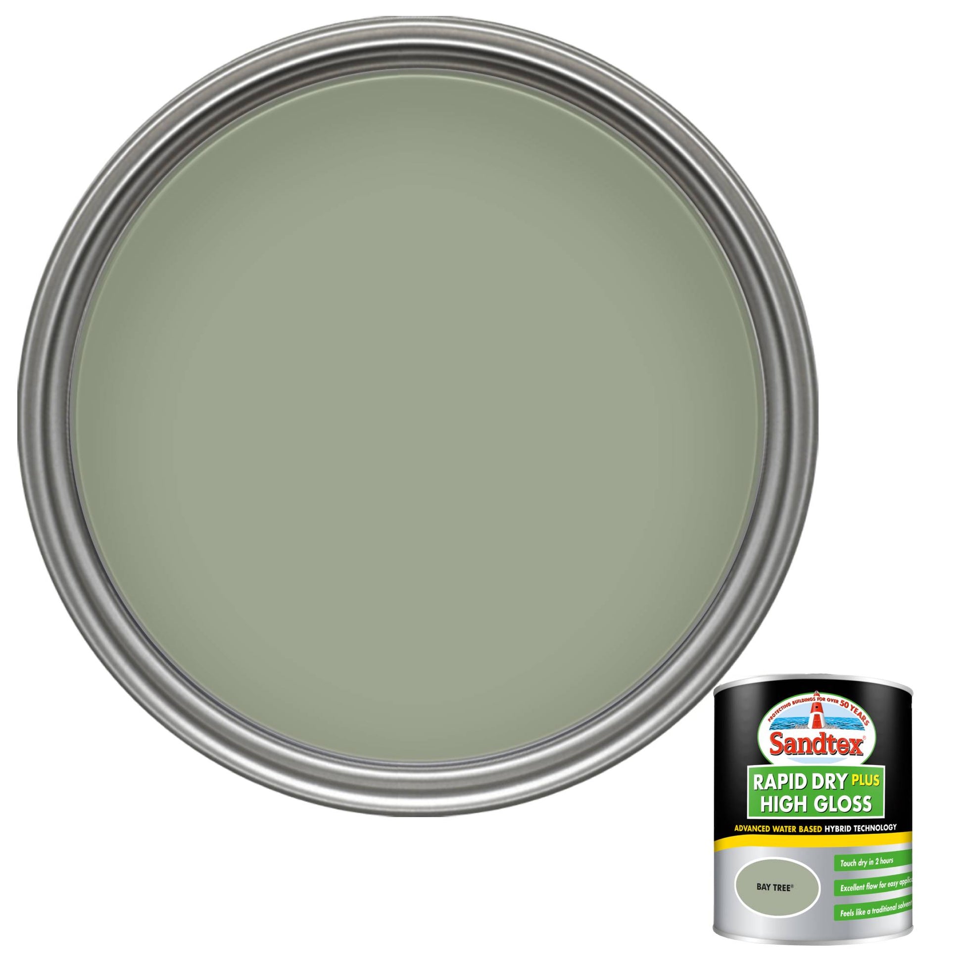 Sandtex Rapid Dry Plus High Gloss Paint - Bay Tree - 750ml